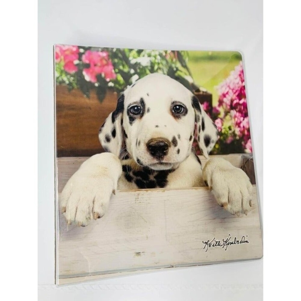 BINDER Keith Kimberlin : Dalmation